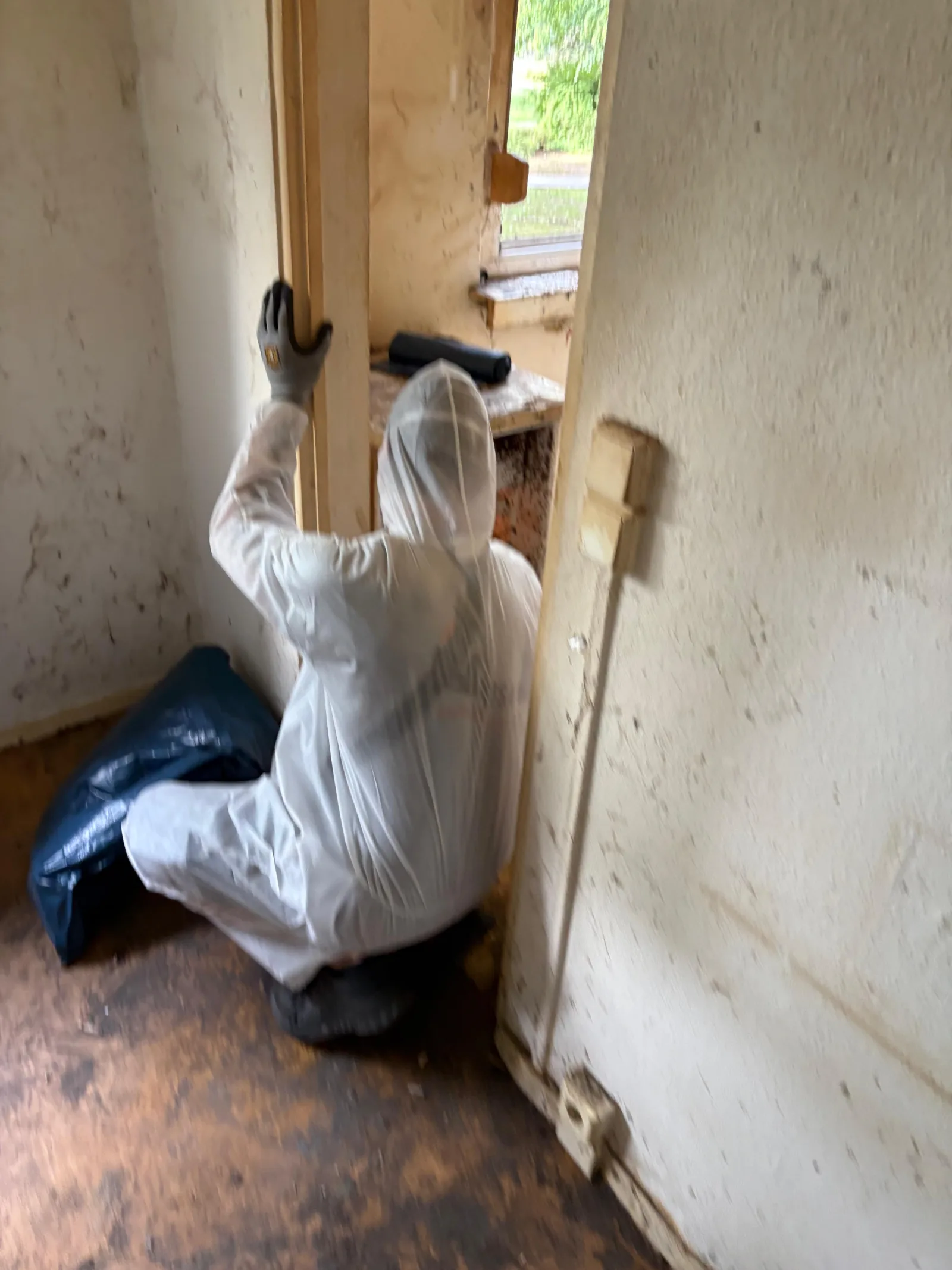Mitarbeiter im Schutzanzug räumt eine Messie-Wohnung in Berlin